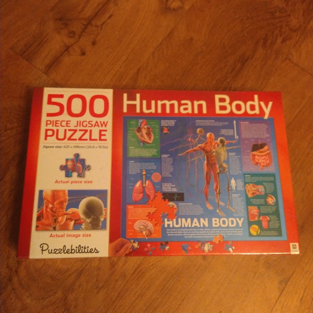 Teen/adult puzzles, human anatomy, 500 piece